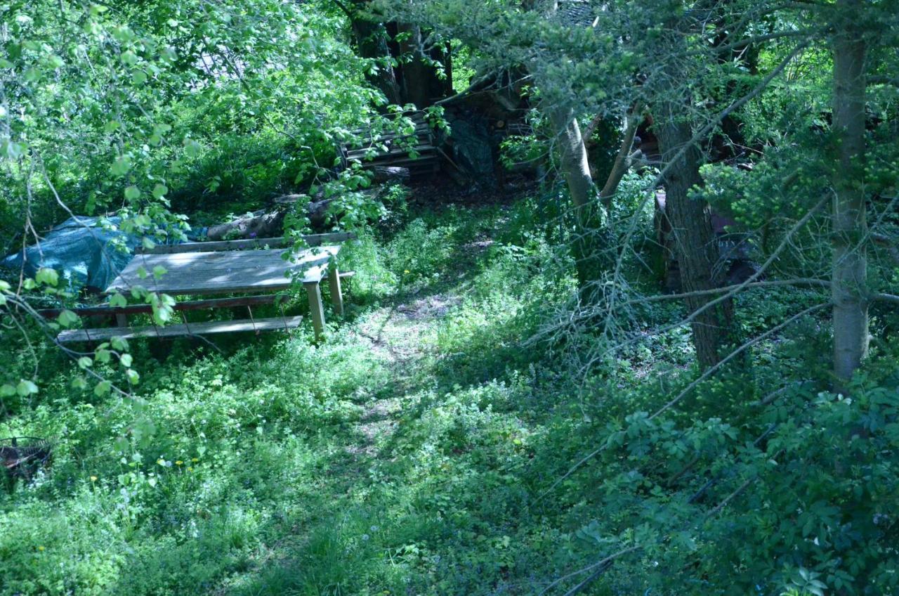 La Cave Au Chat'Pitre / L'Etable Villers-le-Bouillet Exterior photo